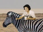 Zebra 150x112