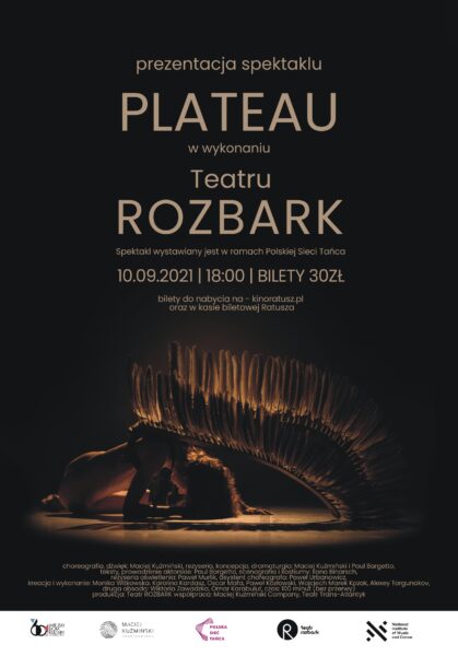 PLATOU PLAKAT Z LOGO