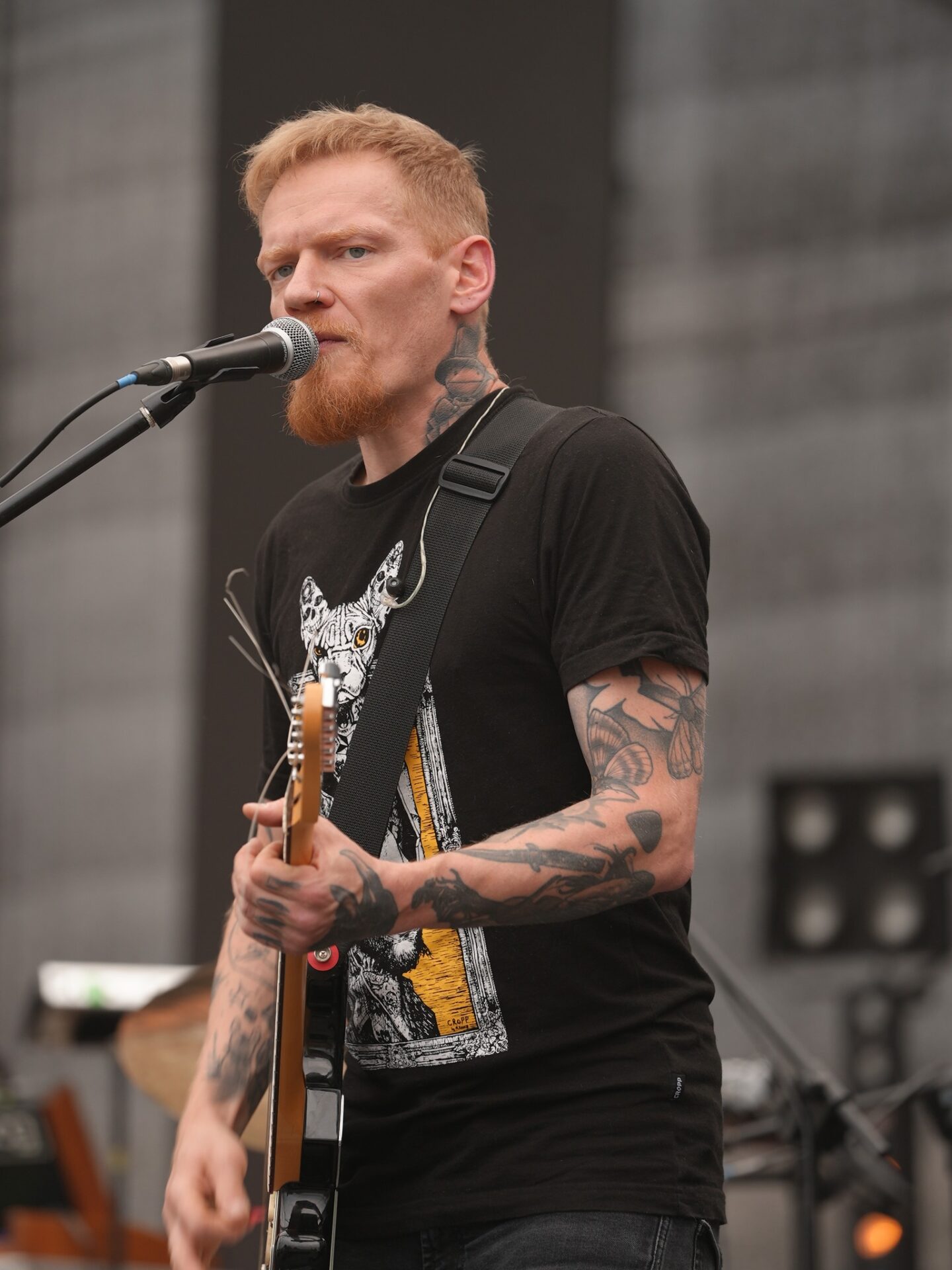 354456264 712266894038778 3714509982361267839 N