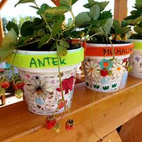 363381237 953160462429744 8640016990715351299 N