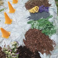 368407795 963721031373687 3814598636926982776 N