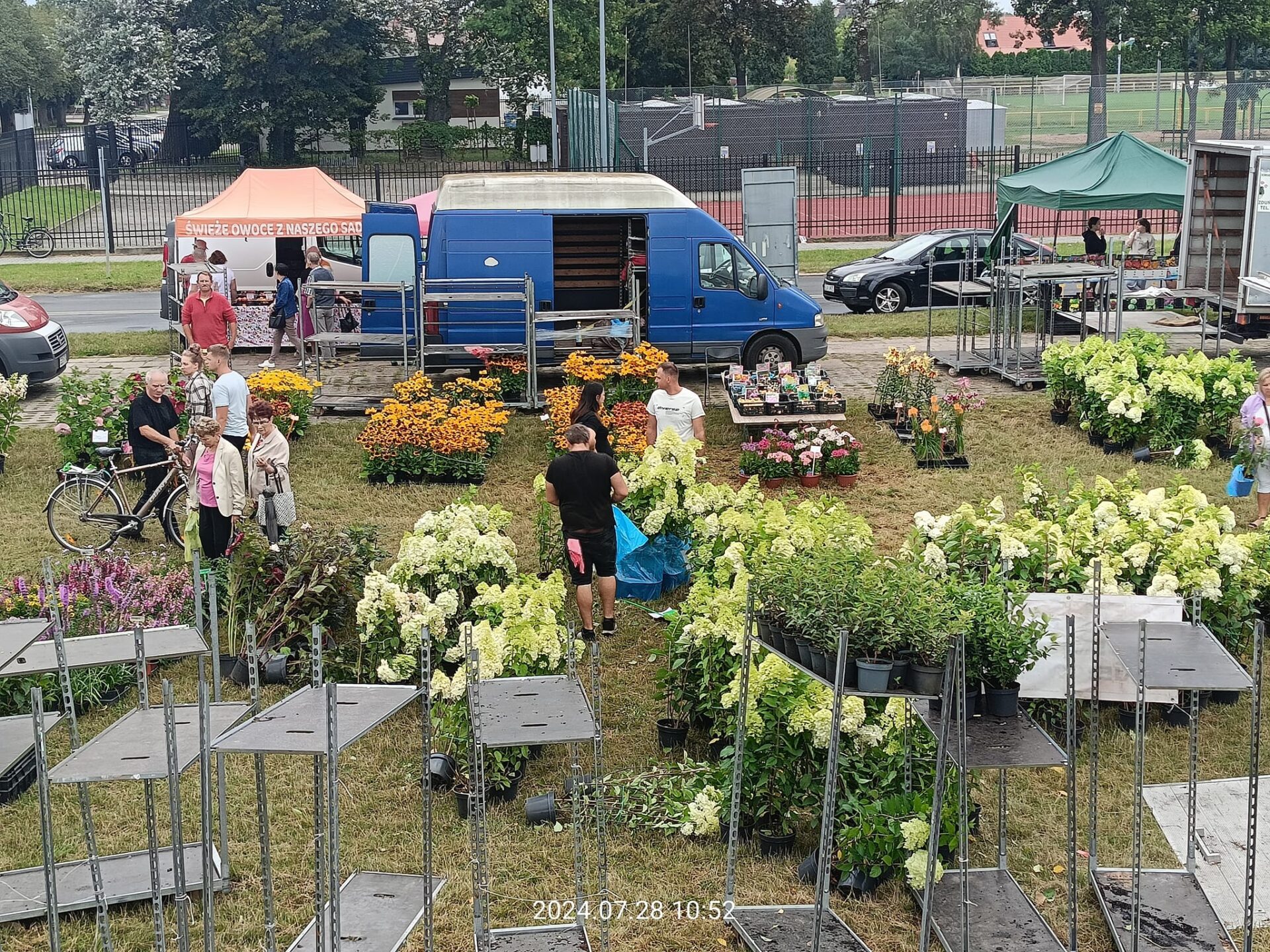 453189552 802409592095234 3597864667945845564 N