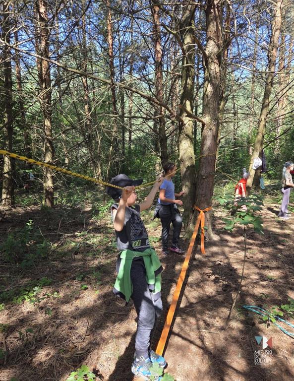 D77c2f82 C611 4078 Aba9 F9b30dc726eb