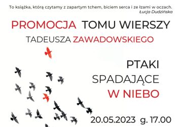 grafika na stronę (1)