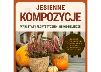 warsztaty jesienne